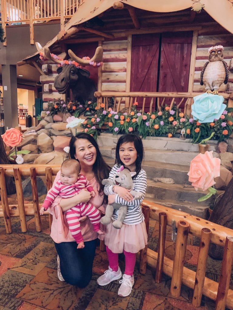 8 tips for Great Wolf Lodge beyond the water park