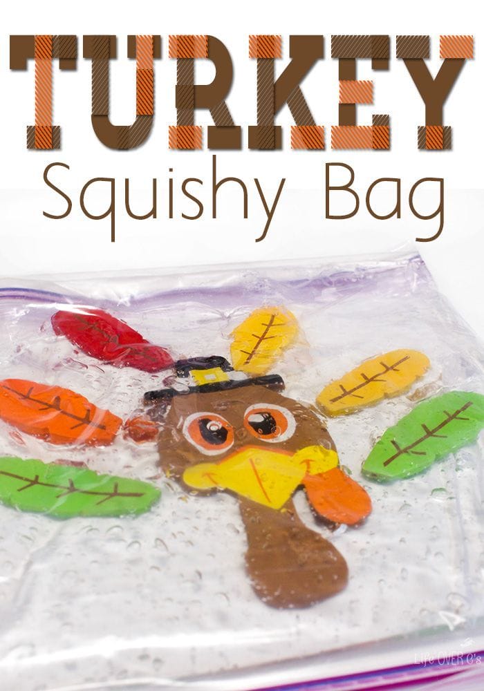 Turkey Squishy Bag