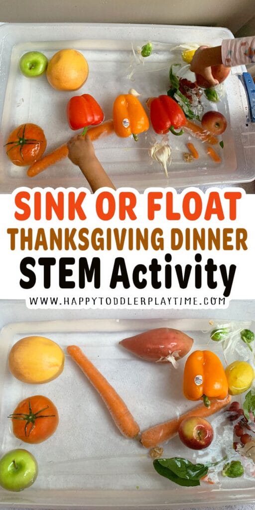 Sink or Float Thanksgiving Dinner STEM Activity