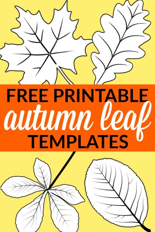 Free Printable Large Leaf Templates